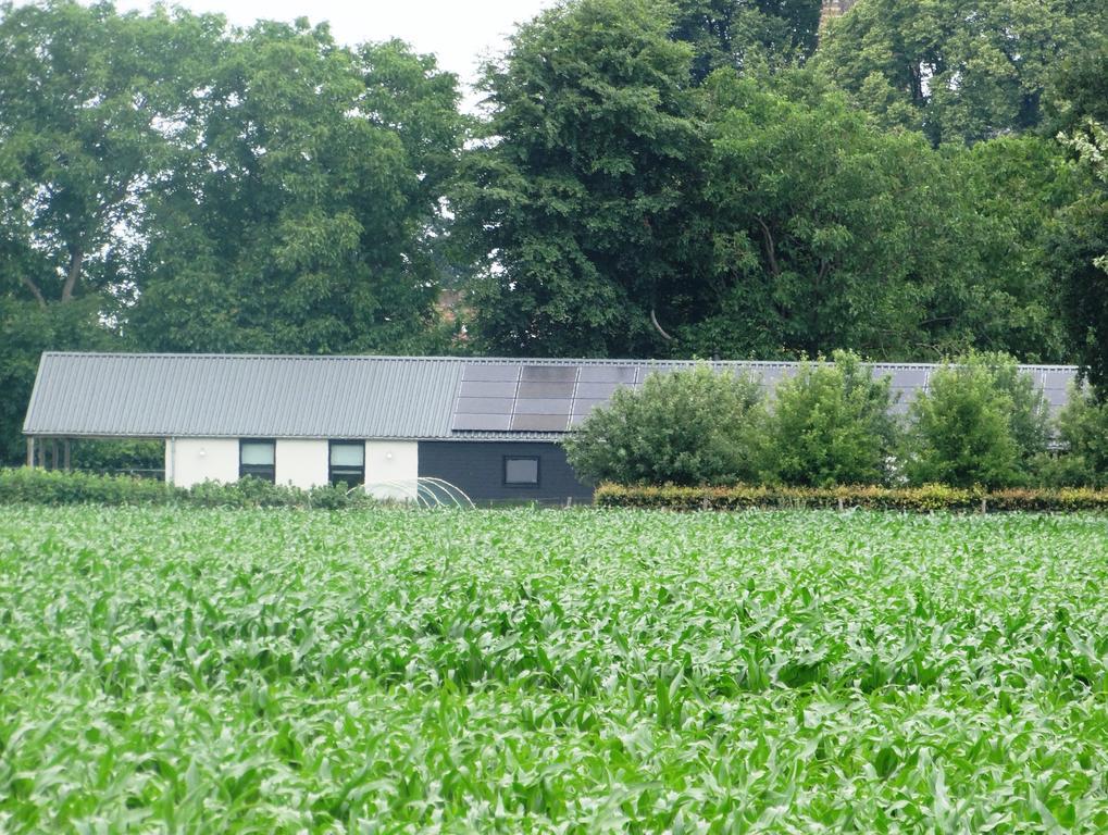 Liefkeshoek Villa Cuijk Eksteriør billede